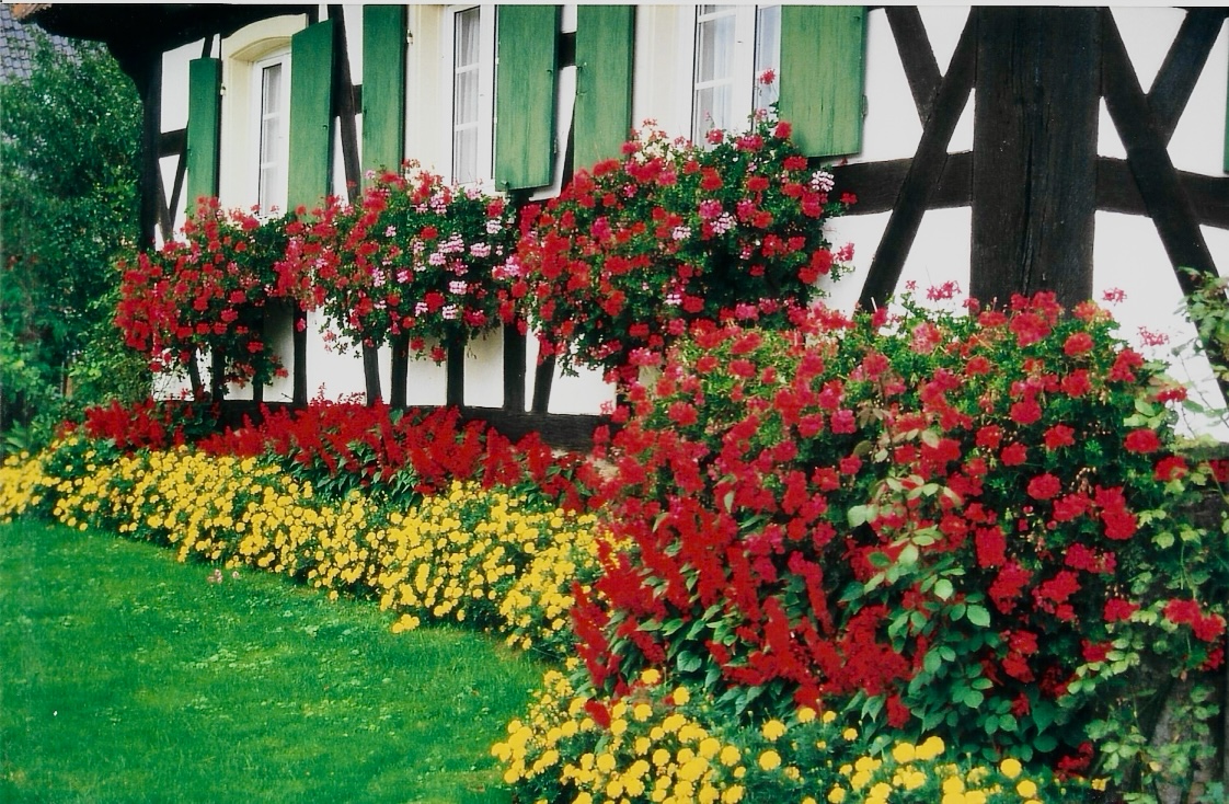 Fleur 12