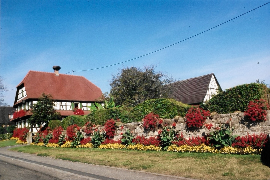 Fleur 14