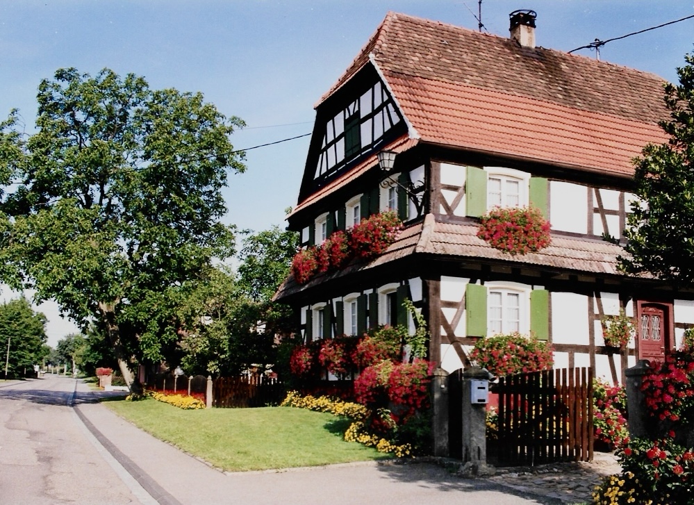 Fleur 15
